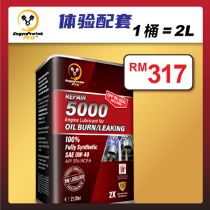 REPAIR 5000 体验配套 1支装