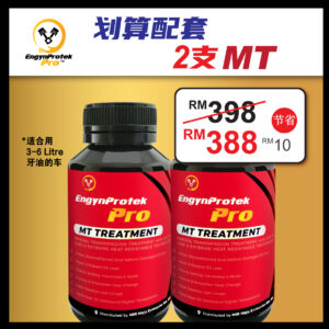 2MT